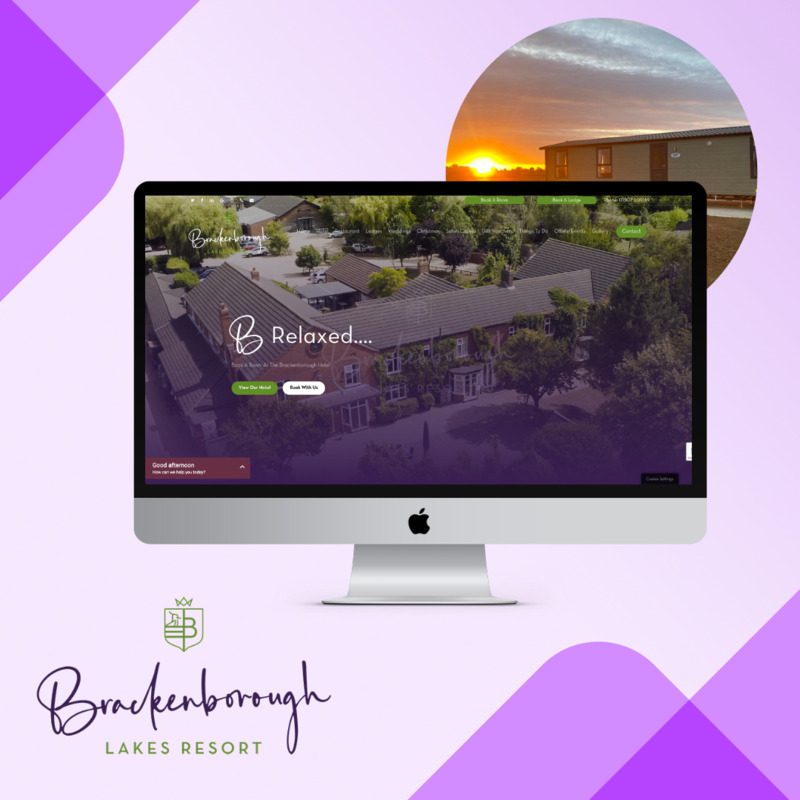 website examples (2)